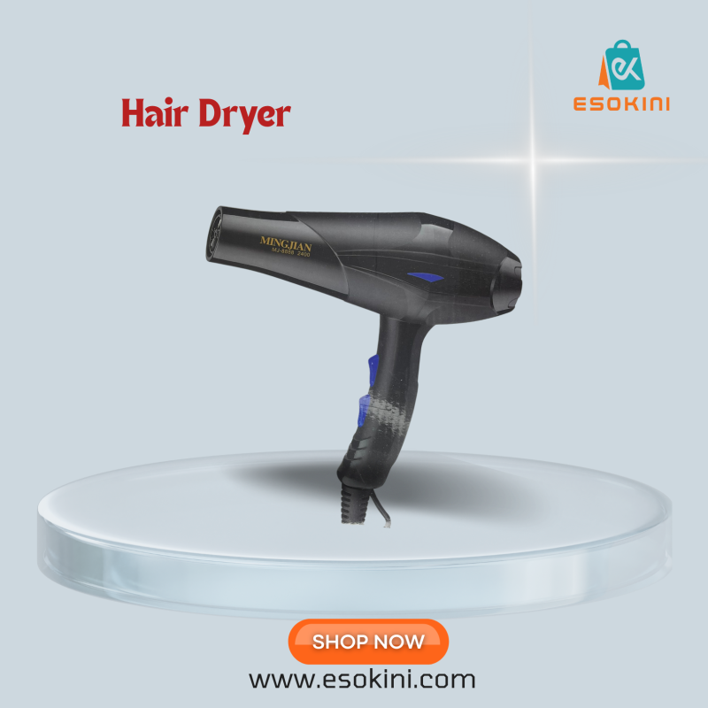Hair Dryer